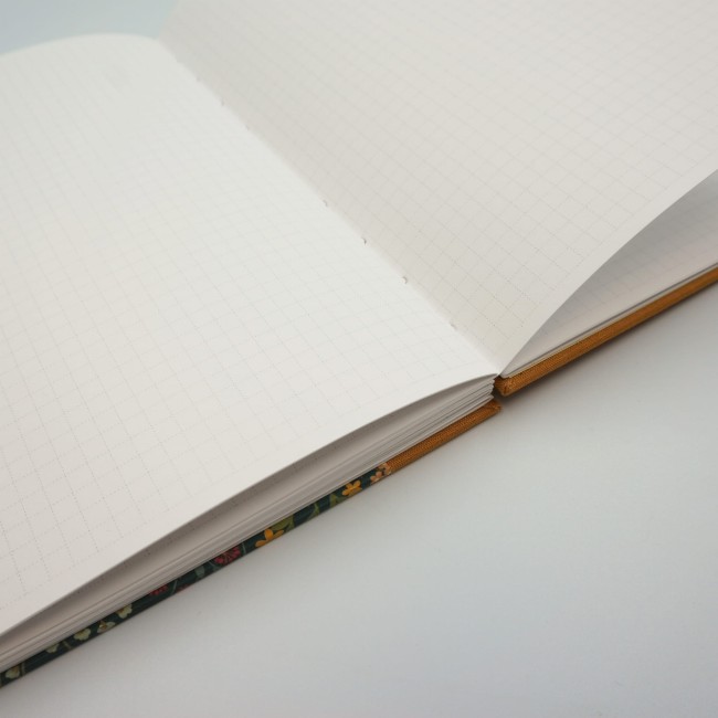 04 notes koptyjski roslinnosc miodowy.JPG